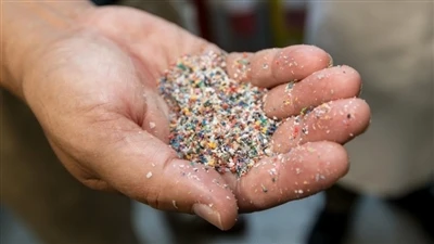 2023-2028 China Waste Plastic Recycling Industry Investment Planning And Pros...